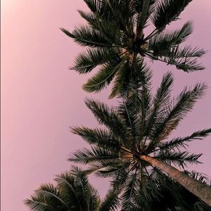 Meet your Posher, Sofia